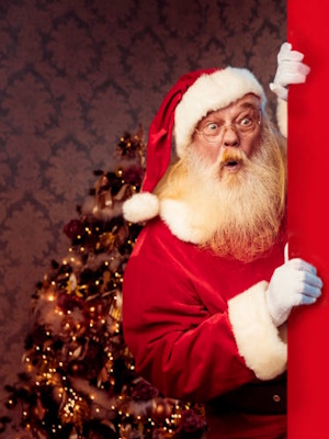 Найдовший політ поштового голуба